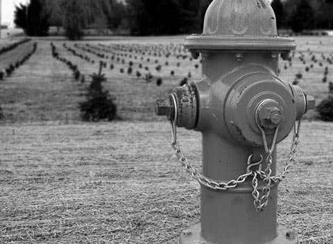 手机攻击器APP下载